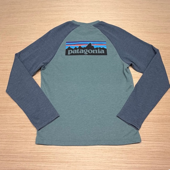 Patagonia Other - Patagonia Crewneck Uprisal Horizon Sweatshirt Mens Small Organic Cotton Preppy